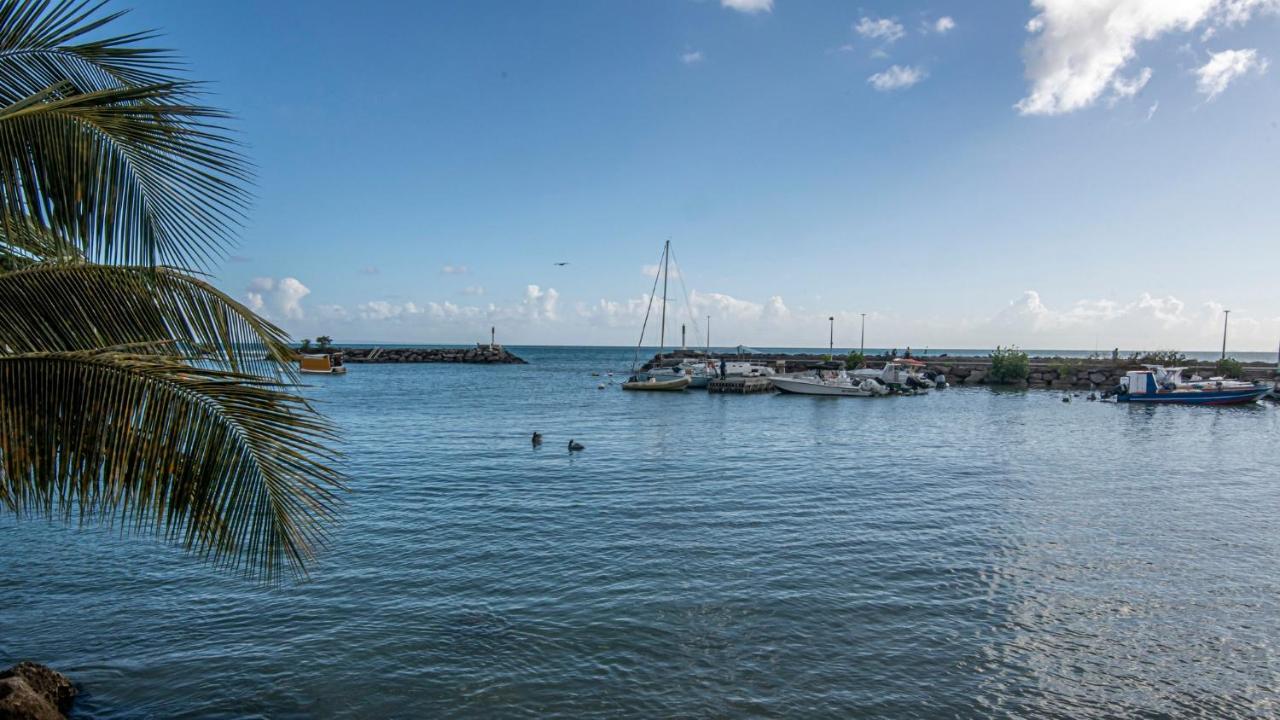 Superbe Studio A La Baie Des Pelicans Le Gosier  Luaran gambar