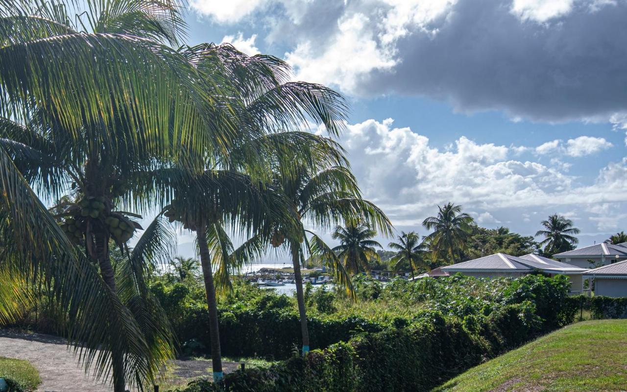 Superbe Studio A La Baie Des Pelicans Le Gosier  Luaran gambar